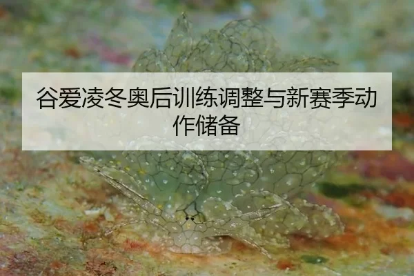 gu-ai-ling-dong-ao-hou-xun-lian-tiao-zheng-yu-xin-sai-ji-dong-zuo-chu-bei-3-990.jpg