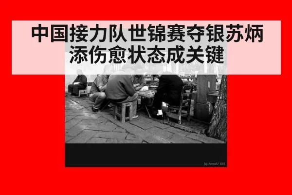 中国接力队世锦赛夺银苏炳添伤愈状态成关键
